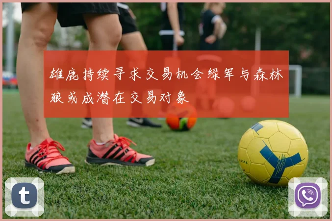 雄鹿持续寻求交易机会绿军与森林狼或成潜在交易对象